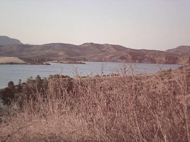 Brim Quel Dos Mendoza